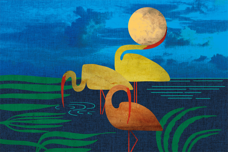 Alfombra Pond