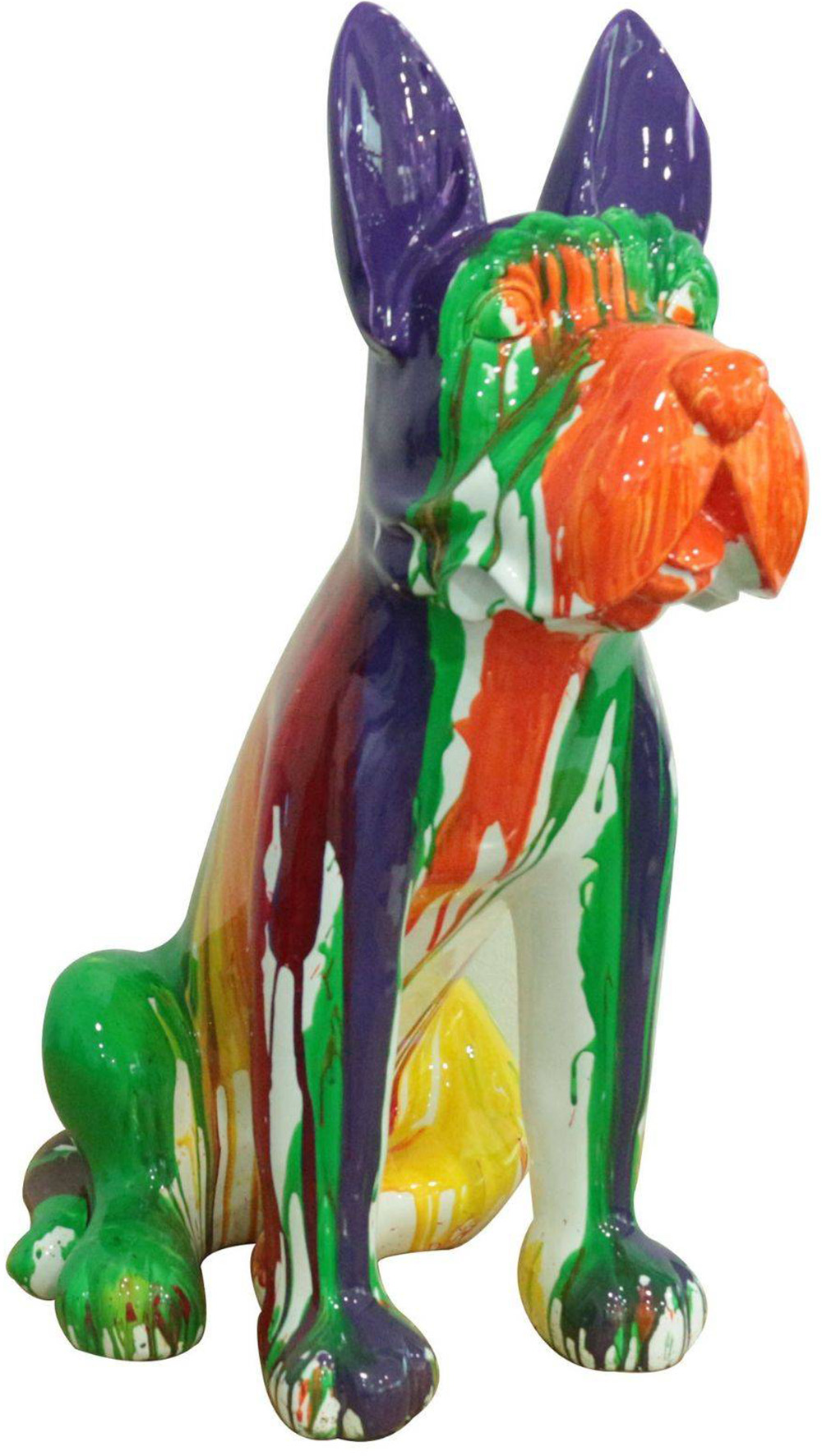 UMBER Boston terrier multicolor