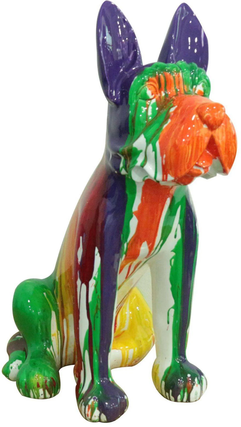 UMBER Boston terrier multicolor
