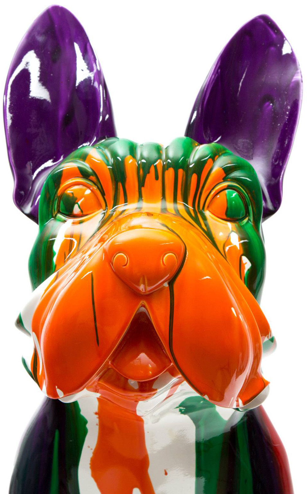 UMBER Boston terrier multicolor