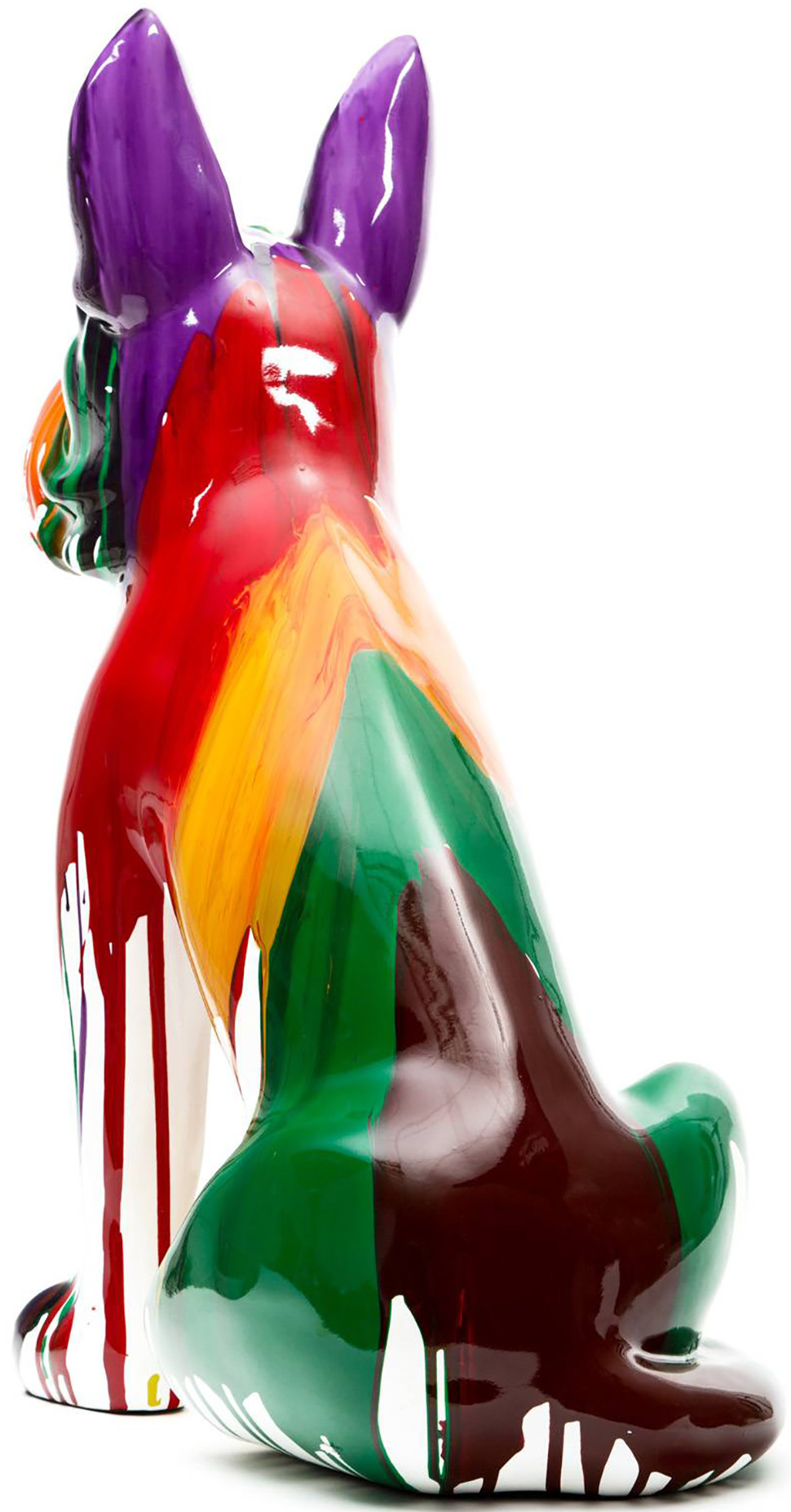 UMBER Boston terrier multicolor