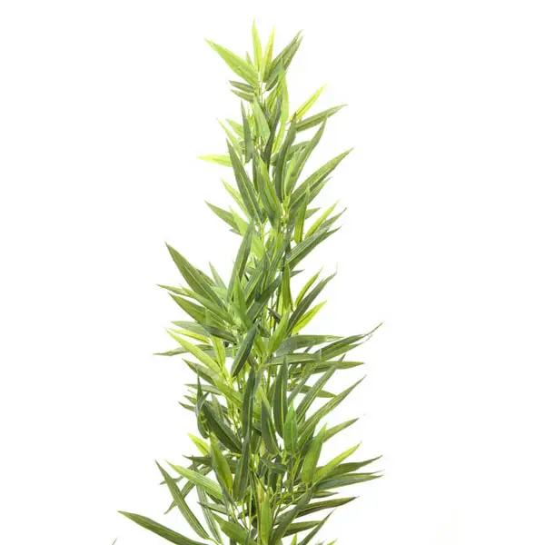 PLANTA DECO BAMBOO TREE 200CM
