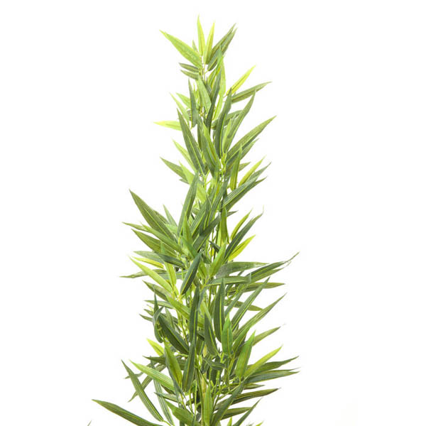 PLANTA DECO BAMBOO TREE 200CM