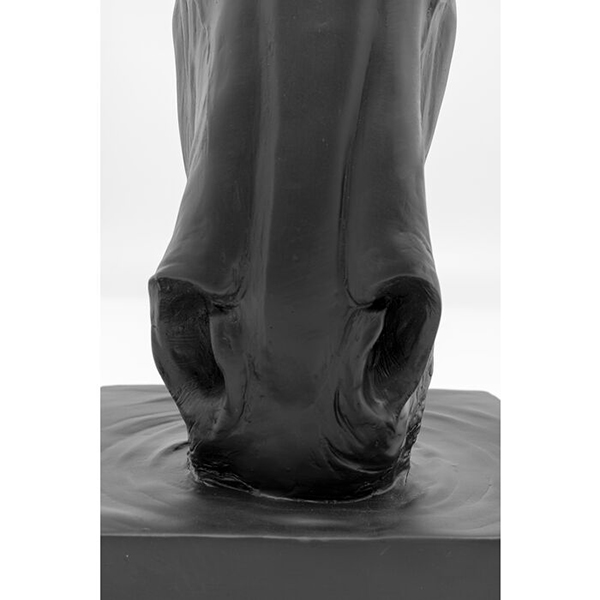 Cabeza de caballo Negra