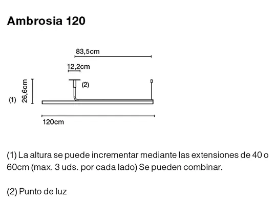 Lámpara de techo de 120 Ambrosia negra