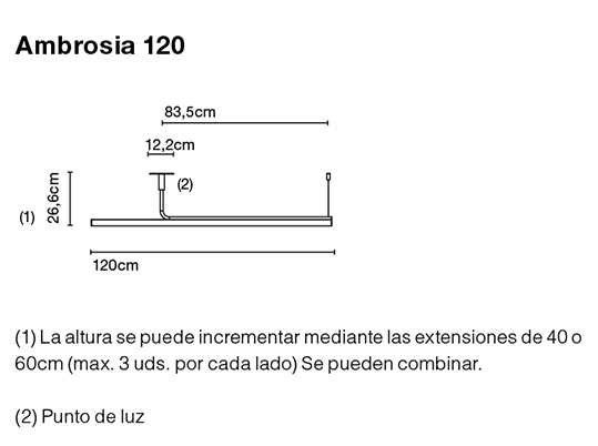 Lámpara de techo de 120 Ambrosia negra