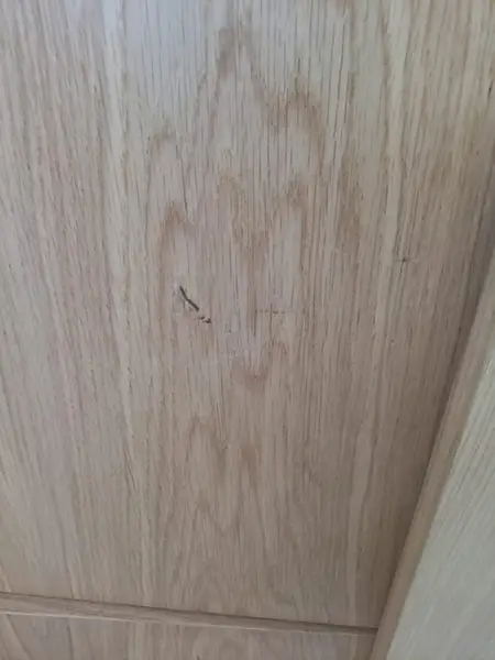 Armario 4 puertas borgen roble Lig.defectos
