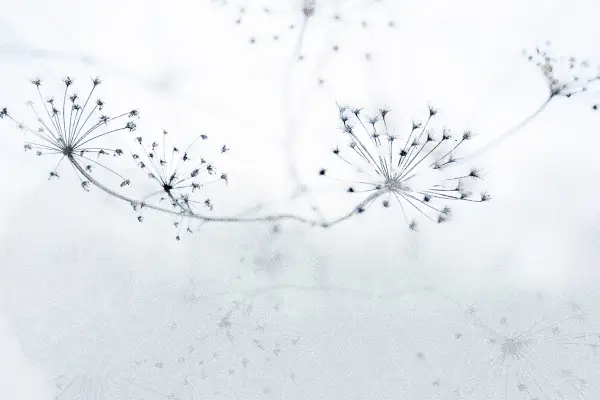 Papel pintado Floss by Instabilelab