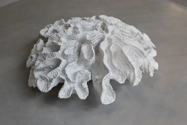 Figura decorativa Coral blanco