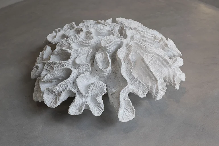 Figura decorativa Coral blanco Figura decorativa Coral blanco