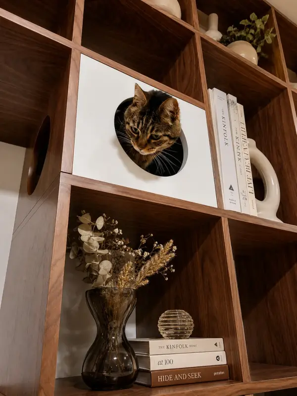 Librería de diseño Gatos