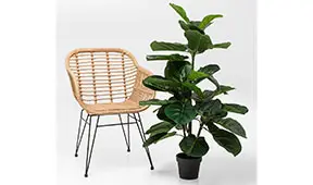 Planta decorativa Fiddle Leaf 120 cm