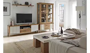 Salón vintage Zeus