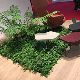 Decora con plantas