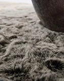 Alfombra Racoon. Furry Fellows - Jab Anstoetz Flooring Alfombra Racoon. Furry Fellows - Jab Anstoetz Flooring