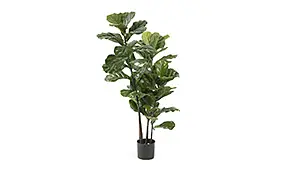 Planta Lyrata artificial en maceta de 120