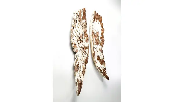 Cuadros alas antiguas