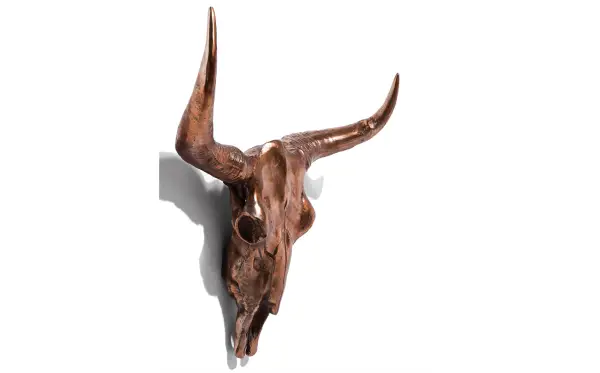 Calavera de antílope cobre
