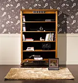 Libreria Vintage Valois