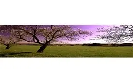 Fotografía Espacio 9