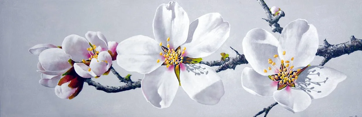 Cuadro flor de almendro