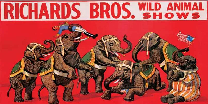 Cuadro canvas richards bros wild animal shows