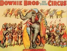 Cuadro canvas downie bros big 3 ring circus