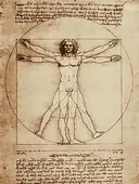 Cuadro canvas leonardo da vinci vitruvian man