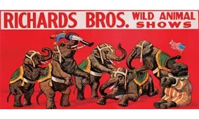 Cuadro canvas richards bros wild animal shows