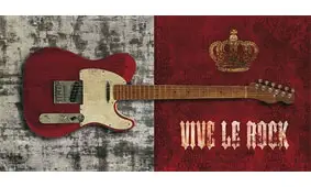 Cuadro canvas vive le rock