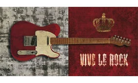 Cuadro canvas vive le rock