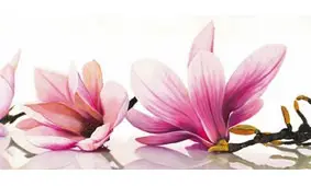 Cuadro canvas magnolia