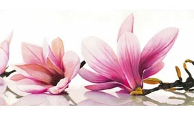 Cuadro canvas magnolia Cuadro canvas magnolia