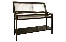 Consola con vitrina moderna Remel