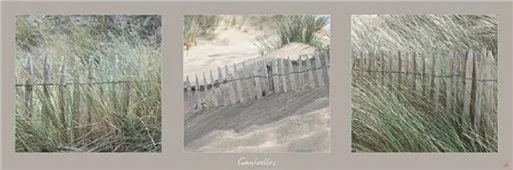 Cuadro Canvas Ganivelles