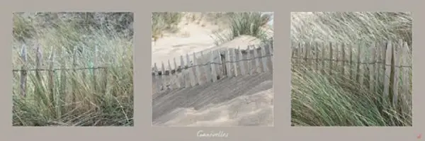 Cuadro Canvas Ganivelles