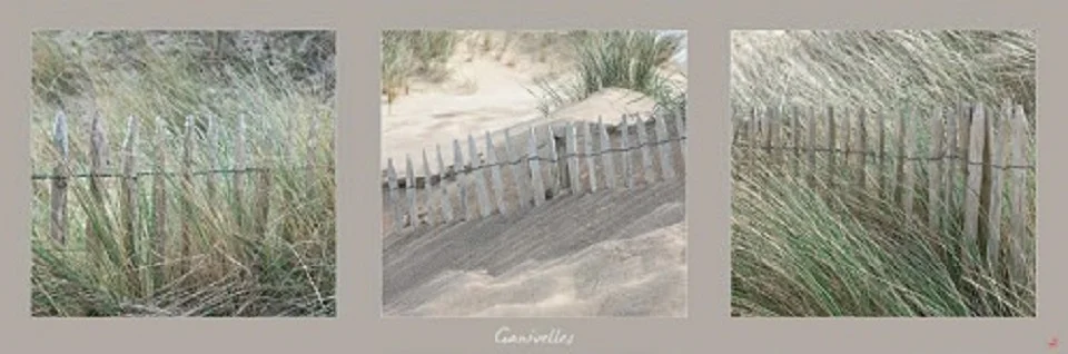 Cuadro Canvas Ganivelles
