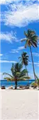 Cuadro Canvas Palmiers sur Playa Saona