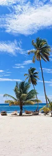 Cuadro Canvas Palmiers sur Playa Saona
