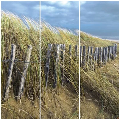 Cuadros Tríos Canvas Du vent les dunes