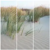 Cuadros Tríos Canvas Dune de Sable