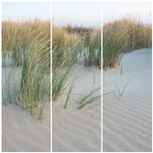 Cuadros Tríos Canvas Dune de Sable