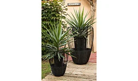Jardinera Globet