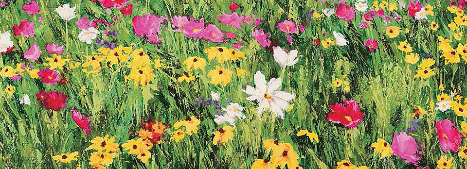 Cuadro canvas field of flowers
