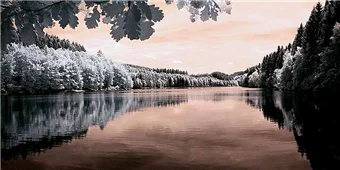Cuadro canvas the lake Cuadro canvas the lake