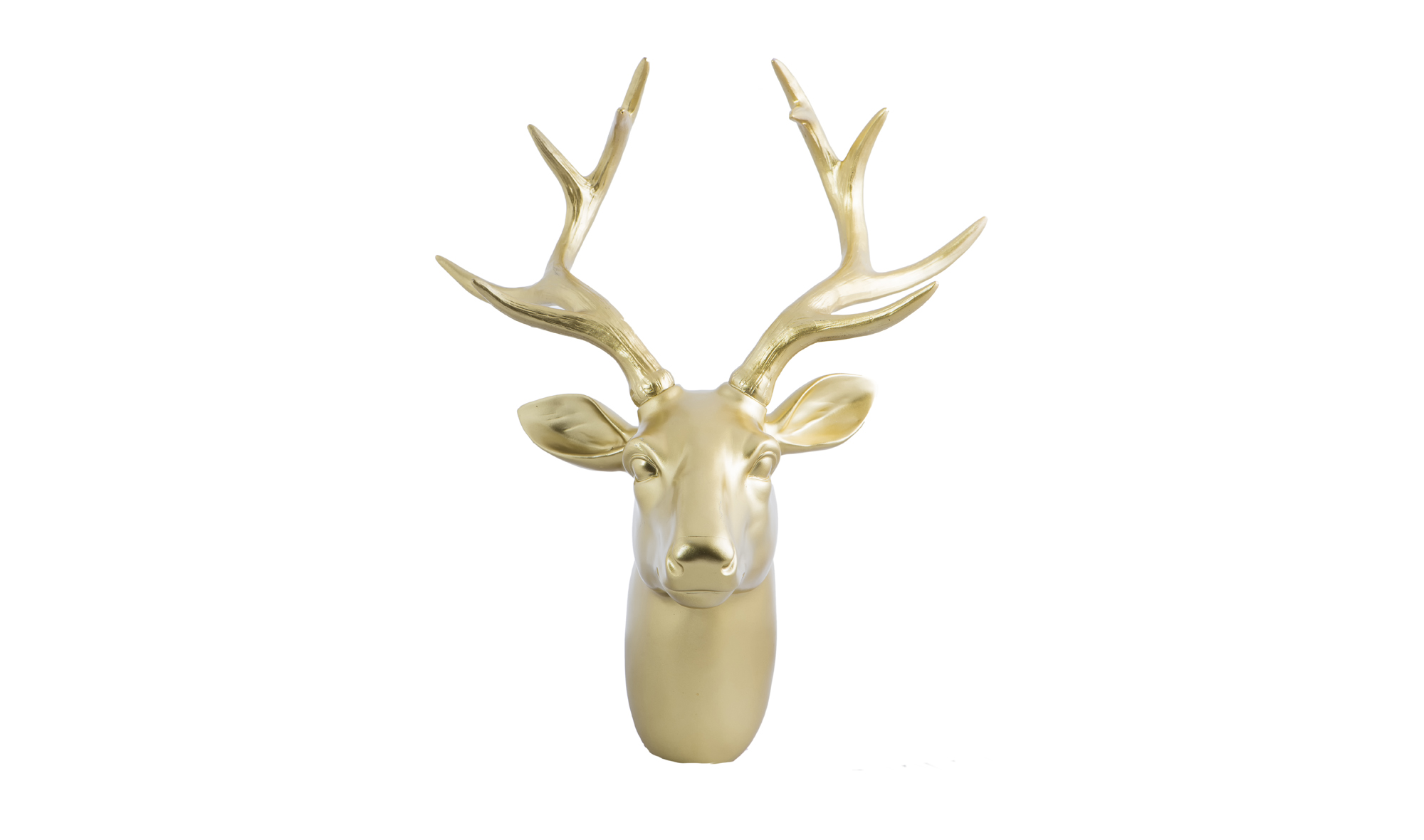 Rudolf Cabeza Oro Astas Oro