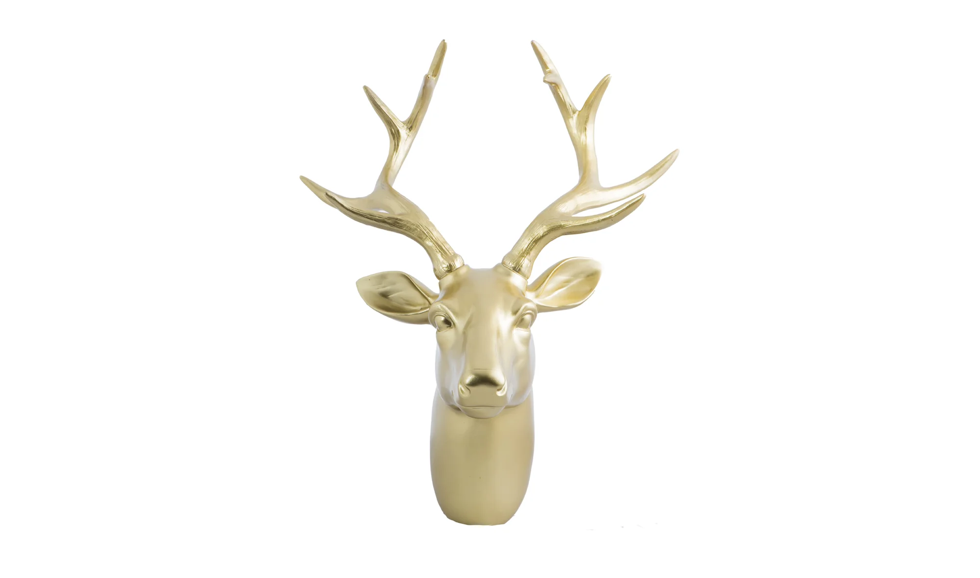 Rudolf Cabeza Oro Astas Oro