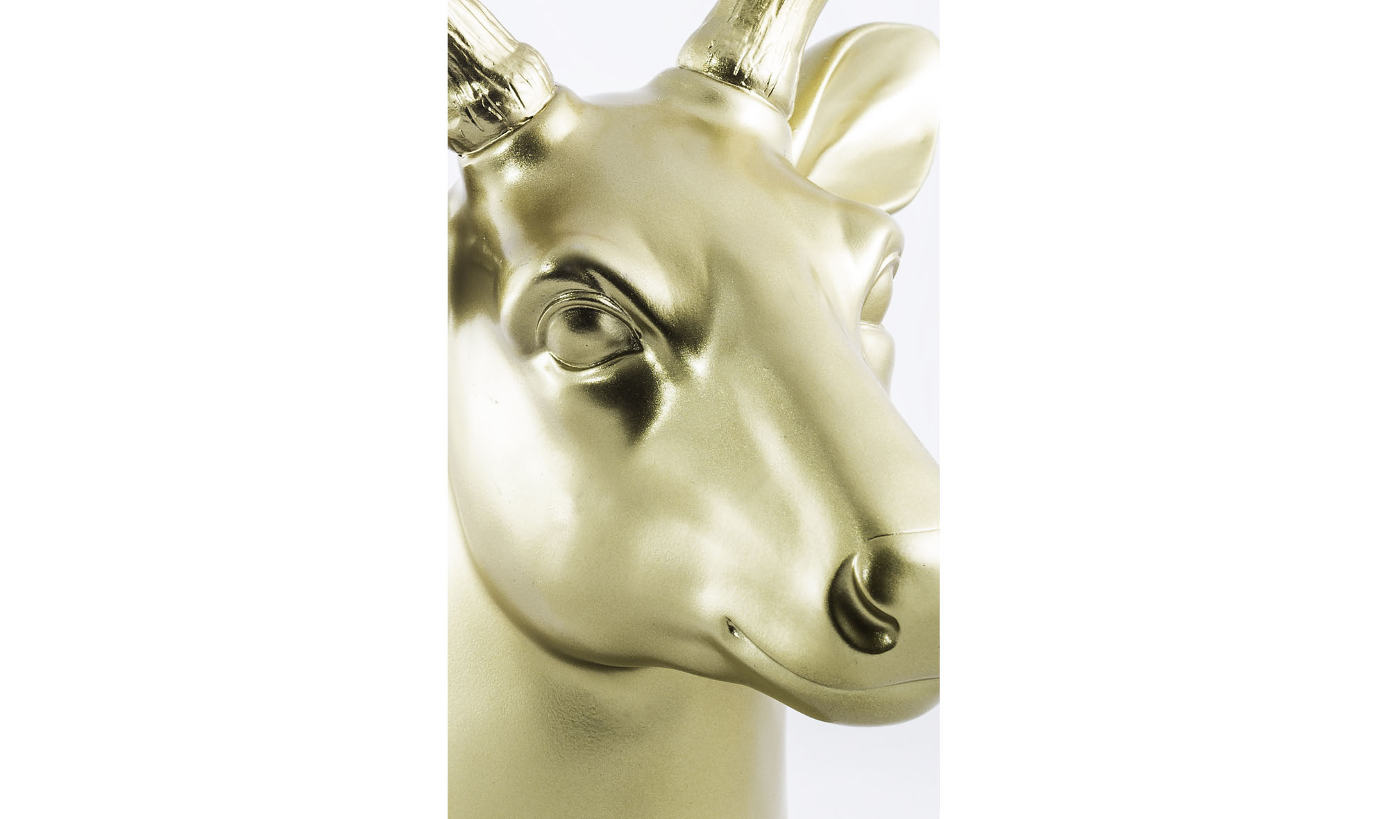 Rudolf Cabeza Oro Astas Oro