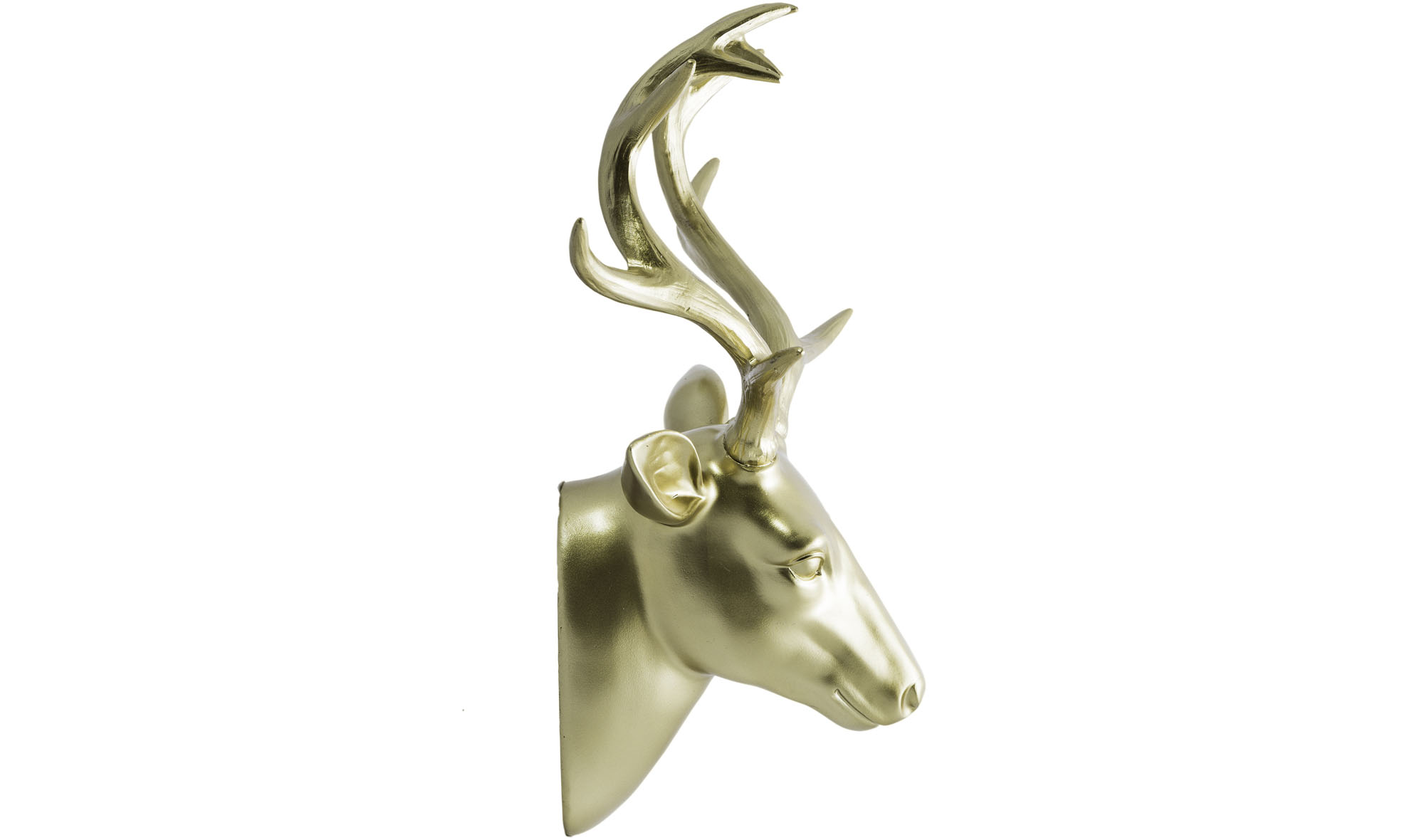 Rudolf Cabeza Oro Astas Oro