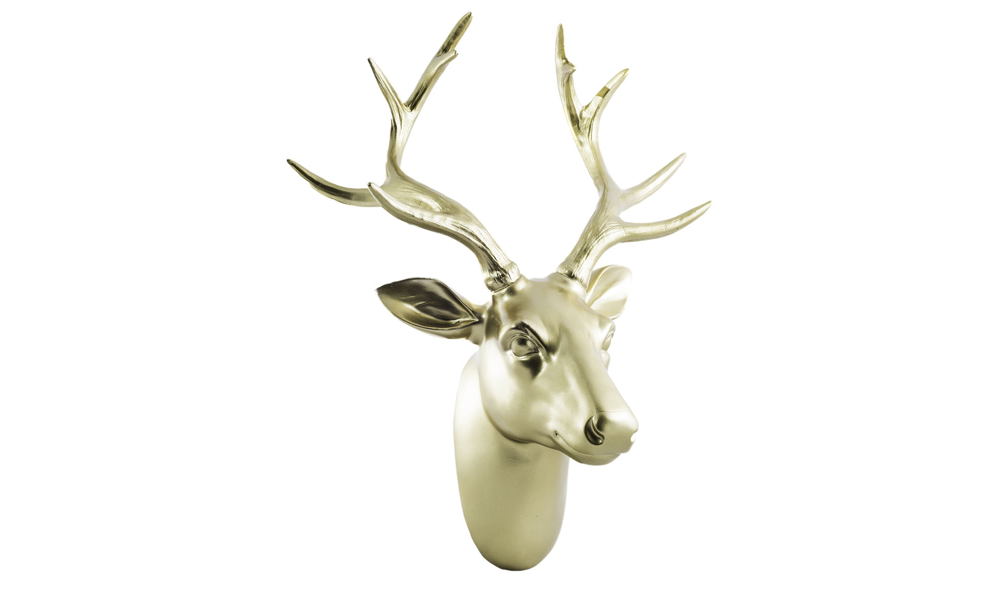 Rudolf Cabeza Oro Astas Oro